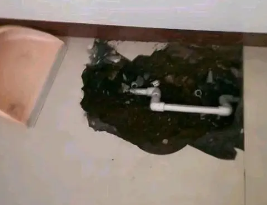 淳安卫生间测漏水多少钱